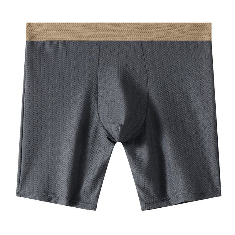 Herren Boxershorts Homme Nylon – Long Leg Trunk Men Bewertung und Preis