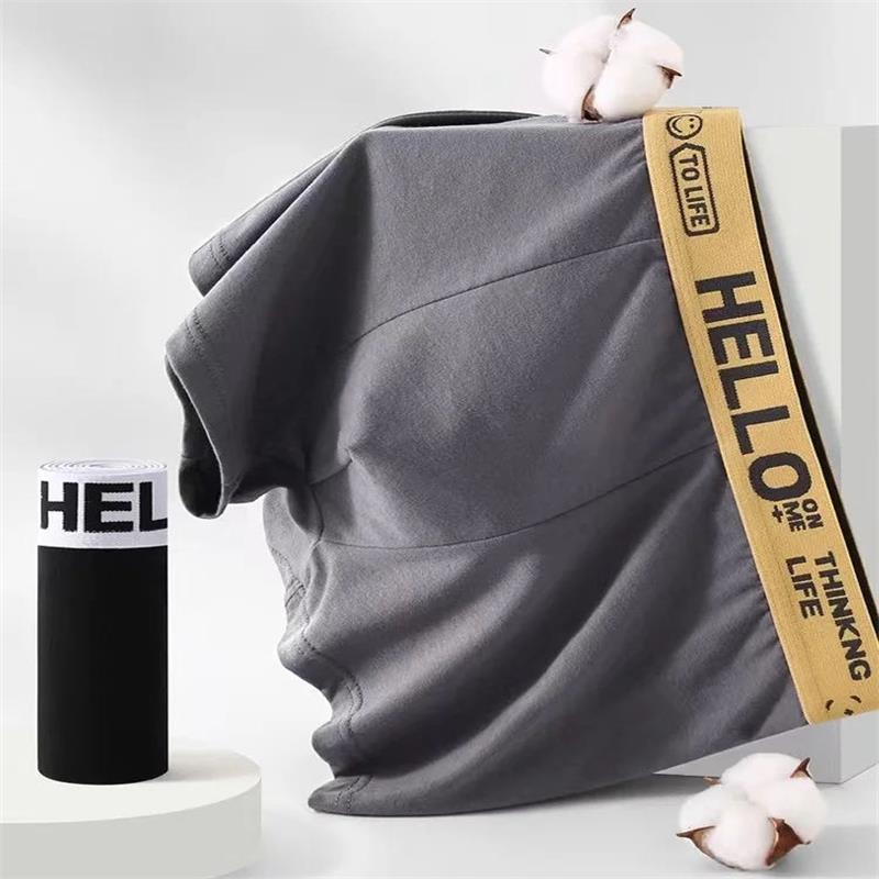 10 Stück/Herrenunterwäsche Män – Boxer Shorts Modal Bewertung und Preis
