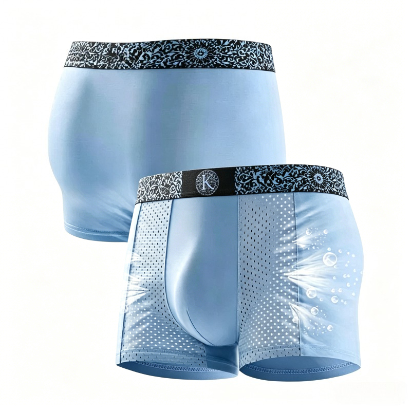 Herren Cool Ice Silk Mesh Boxe – Mesh Sport Boxer Bewertung und Preis