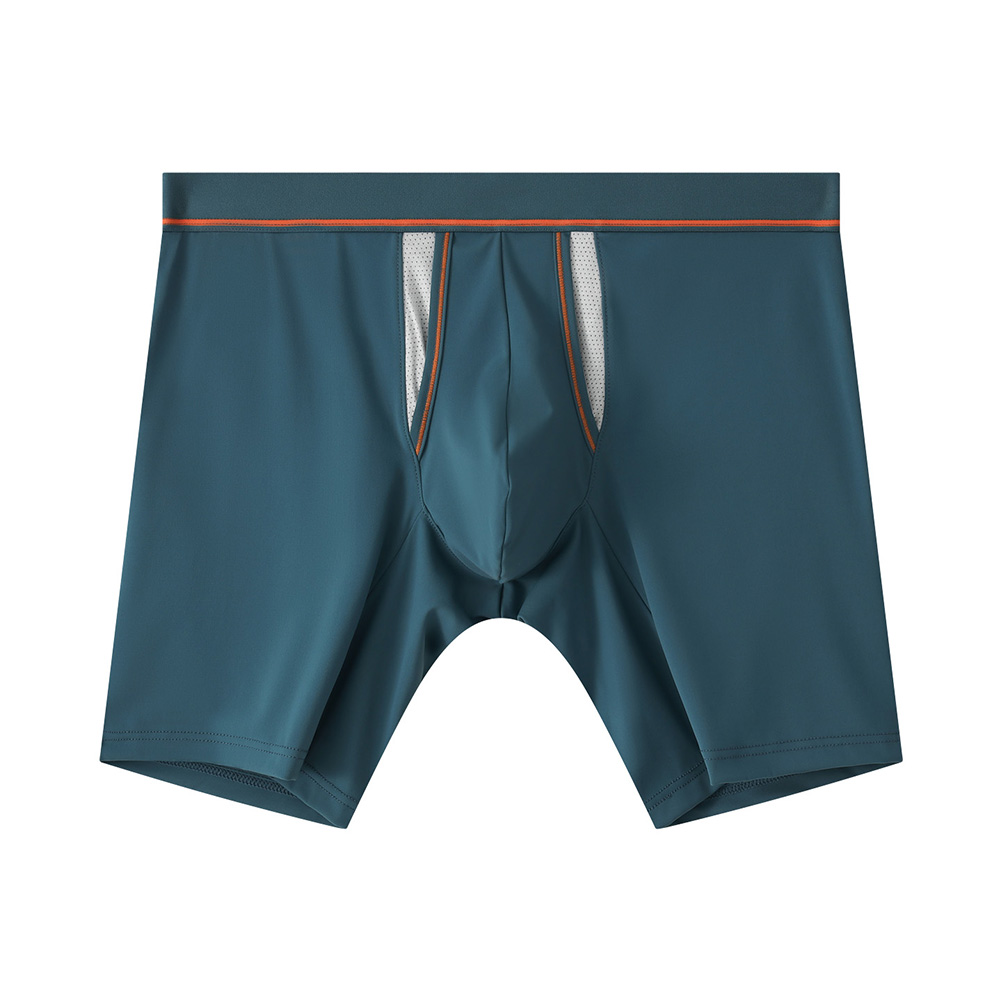 Herrenunterwäsche mit separate – Long Leg Trunk Men Bewertung und Preis