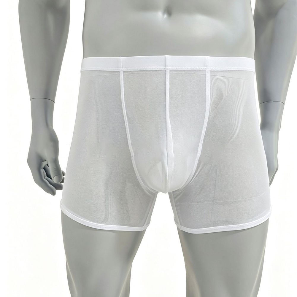Herren Mesh Durchsichtige Ultr – Long Leg Trunk Men Bewertung und Preis