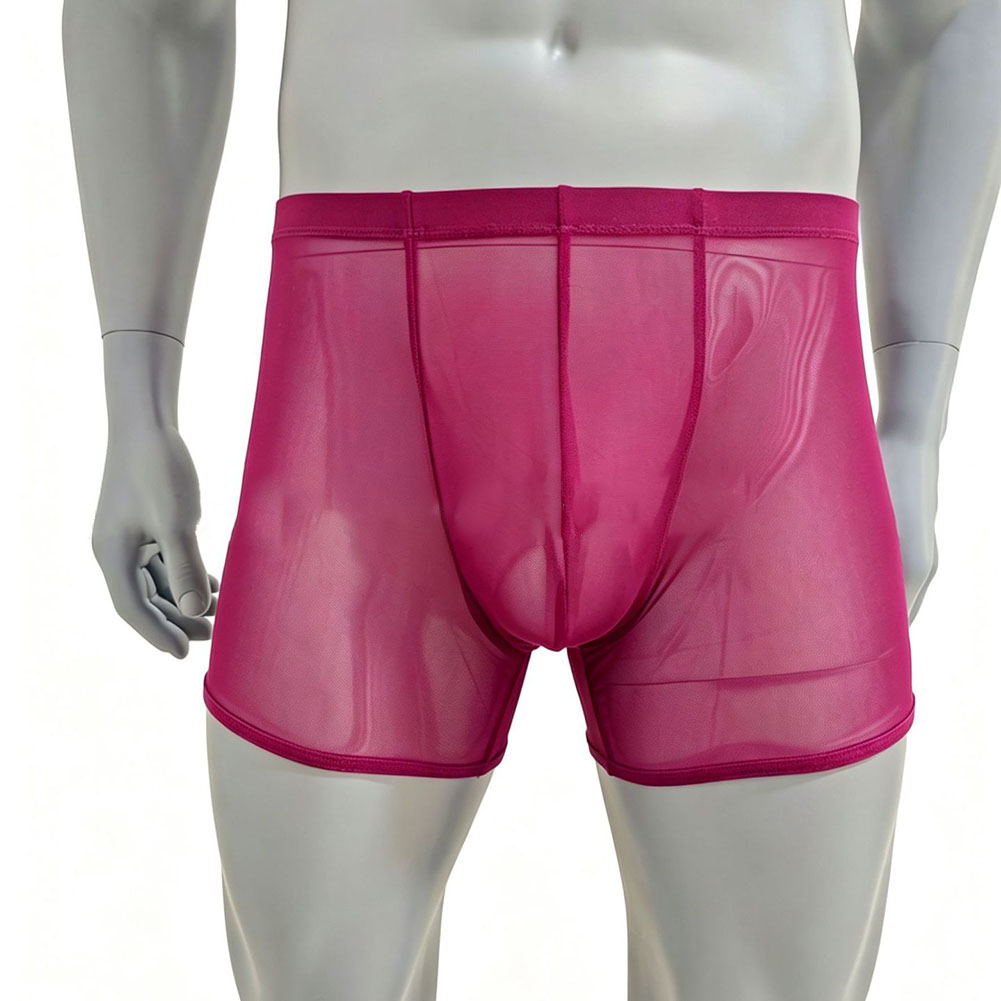 Herren Mesh Durchsichtige Ultr – Long Leg Trunk Men Bewertung und Preis