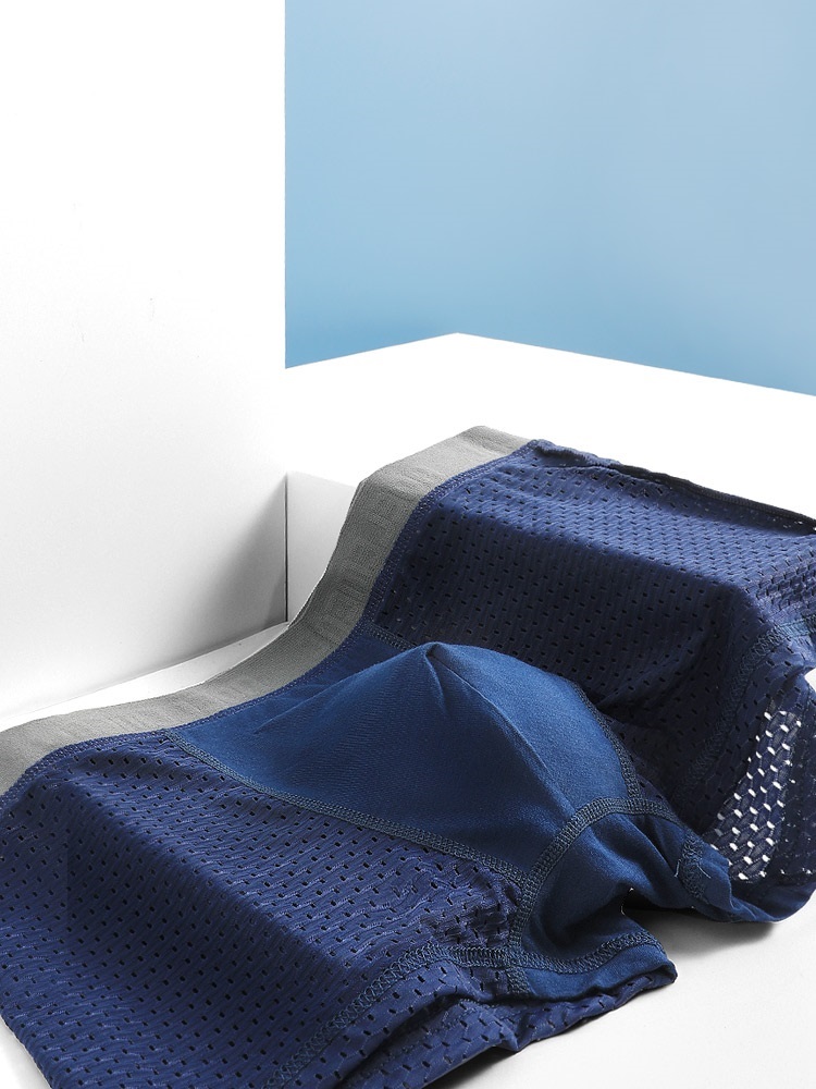 Herrenunterwäsche Herren-Boxer – Mesh Sport Boxer Bewertung und Preis